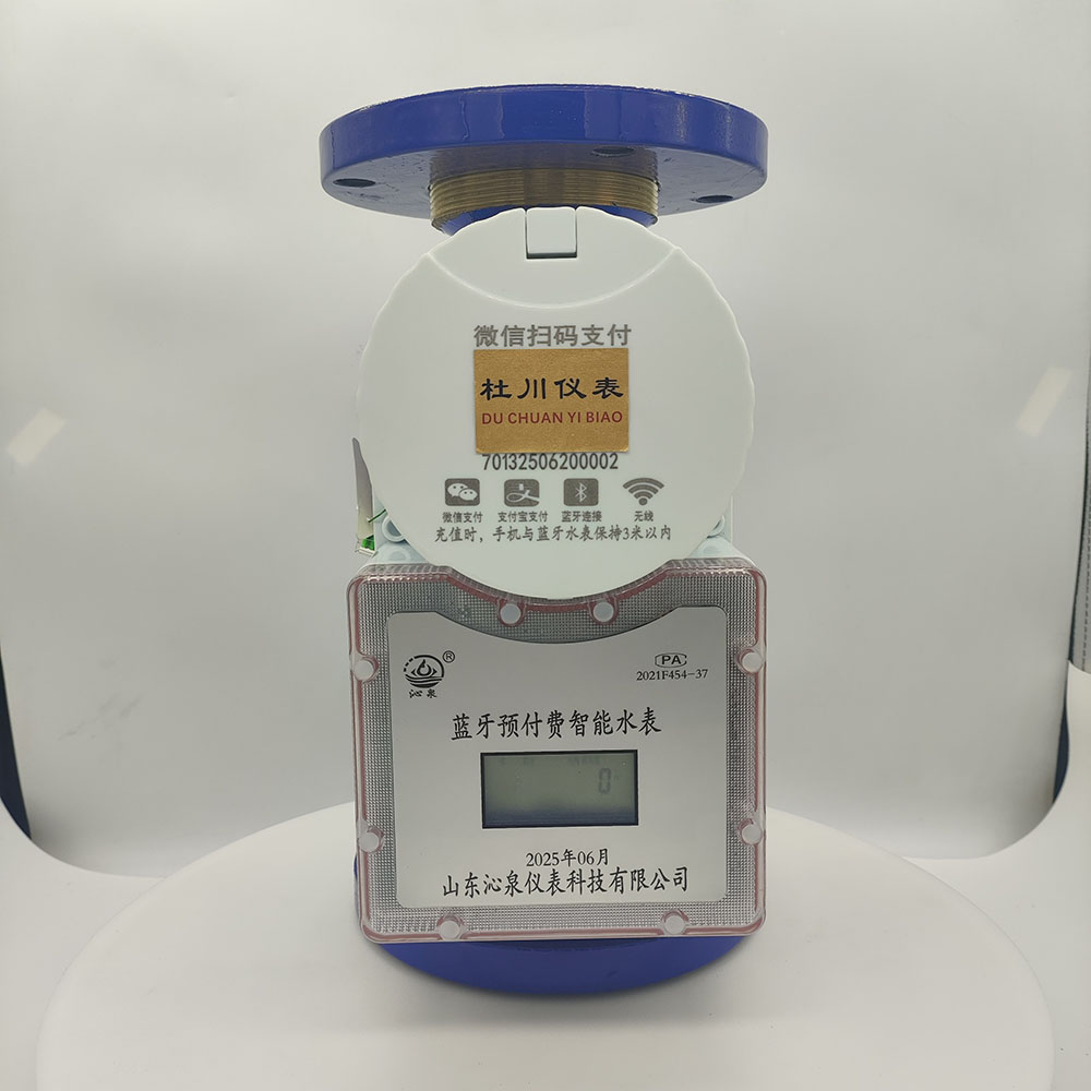 沁泉藍(lán)牙預(yù)付費(fèi)智能水表，DN65，水平冷水.jpg