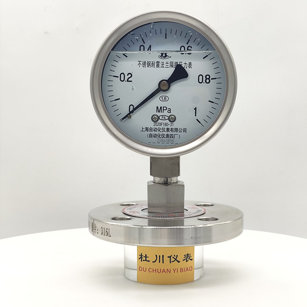 上海自動(dòng)化YNTP100BF，DN25法蘭，1mpa.jpg