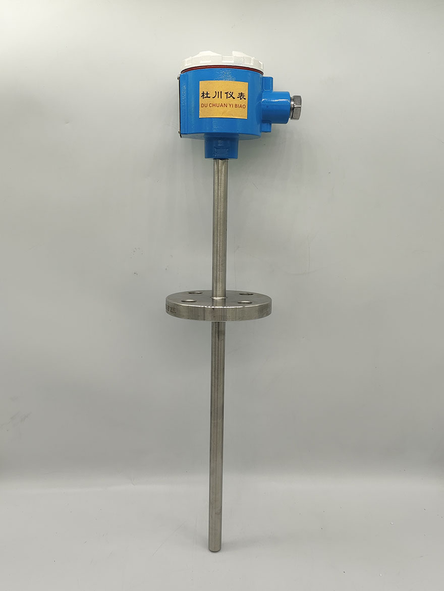 防爆熱電阻MM-SBWZR-441，-50-450℃，PT100，400x250mm，DN20.jpg
